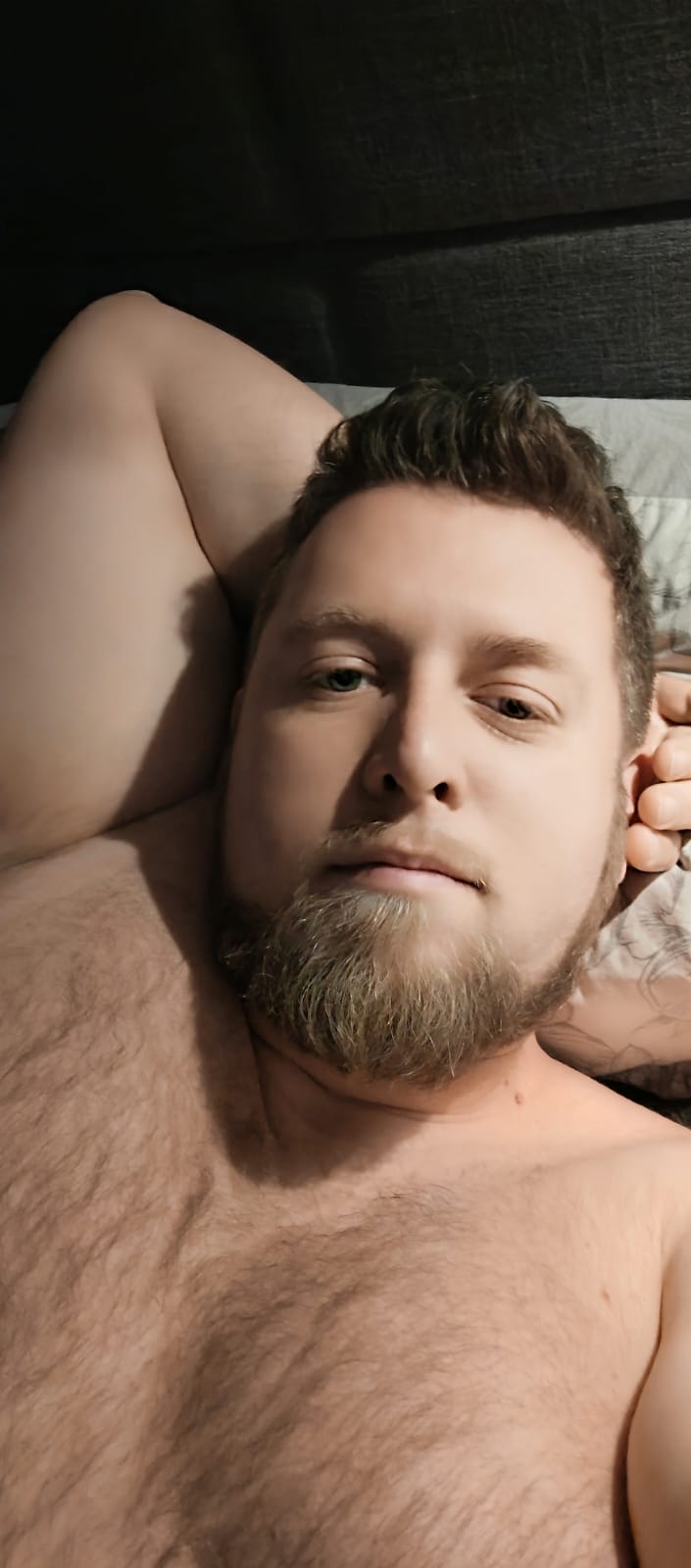 Profil de Aboubaker, 37 ans, Trans Sex Suisse à Simplon Dorf