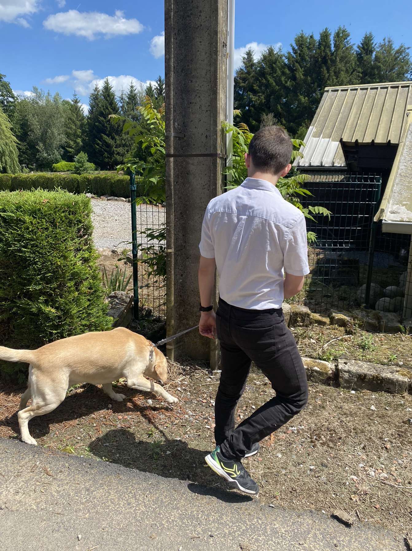 Profil de Constantino, 21 ans, Trans Sex Suisse à Rolle