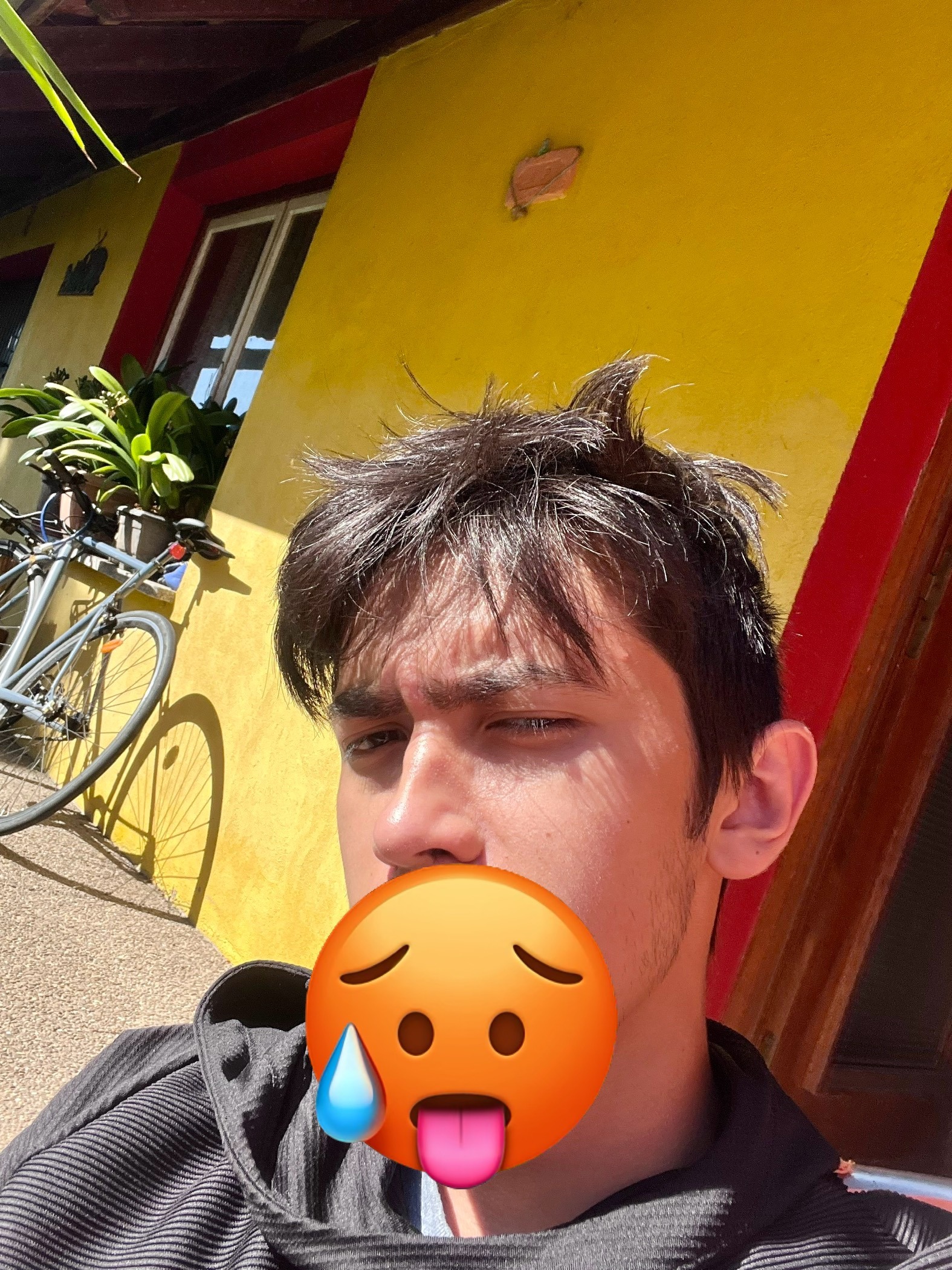 Profil de Mayes, 22 ans, Trans Sex Suisse à Corteglia
