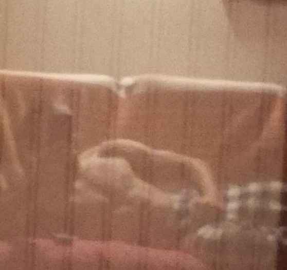 Profil de Marik, 23 ans, Trans Sex Suisse à Hüttlingen