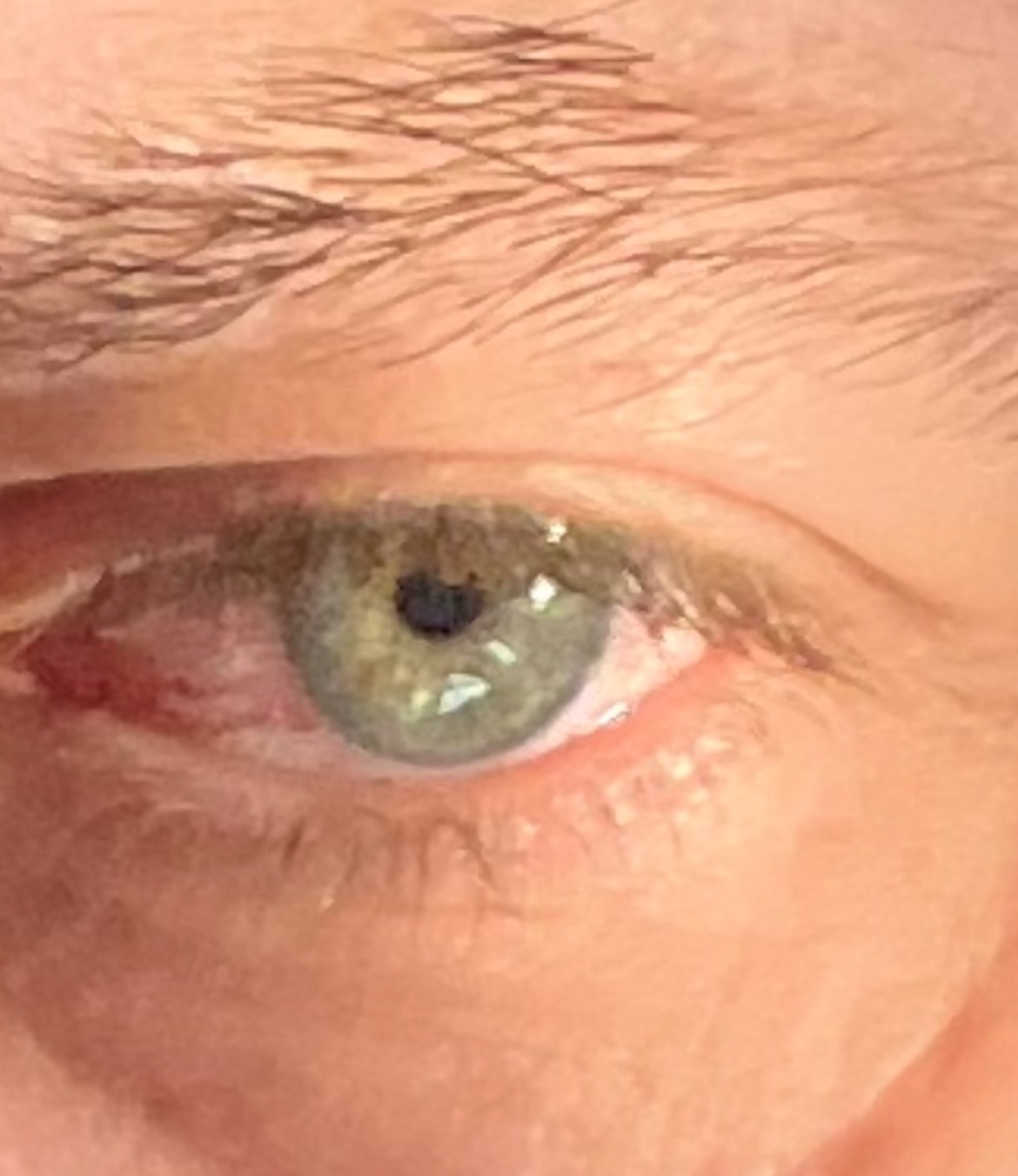 Profil de Mahdi, 47 ans, Trans Sex Suisse à Schwadernau