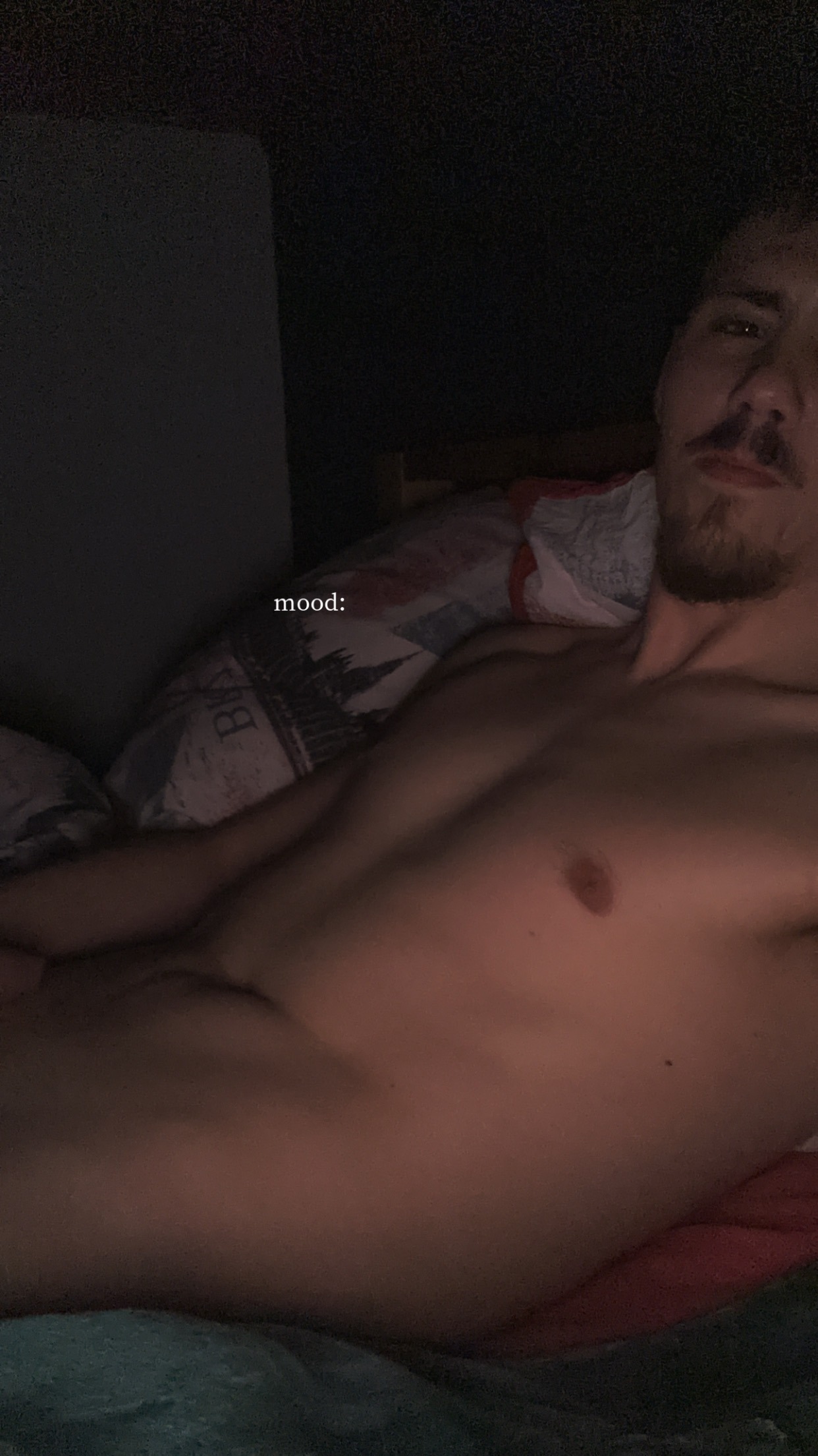 Profil de Tariq, 24 ans, Trans Sex Suisse à Weinfelden